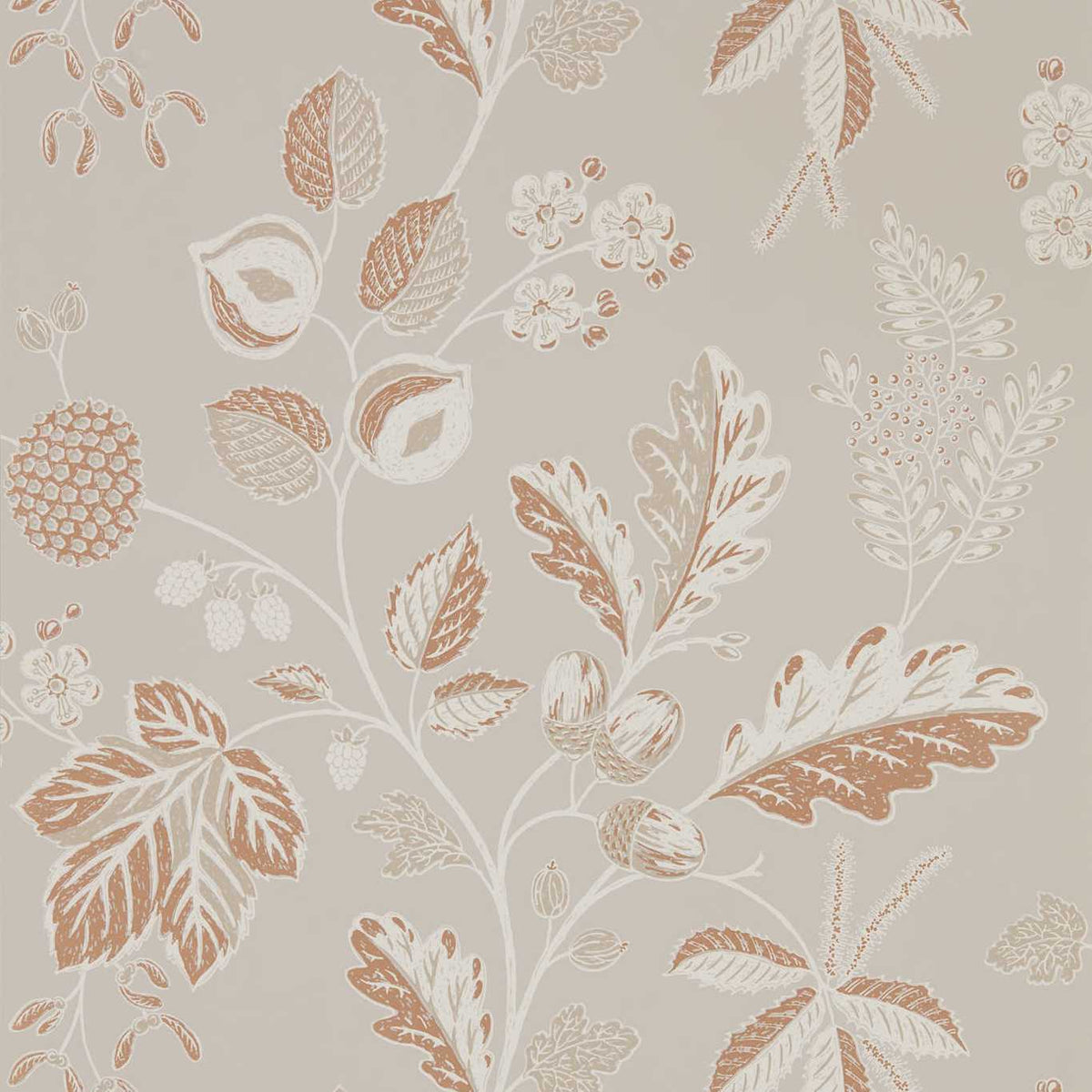 Sanderson - Tapeten Warwick-Tapeten-Sanderson-TAUPE 216615-216615-Toju Interior