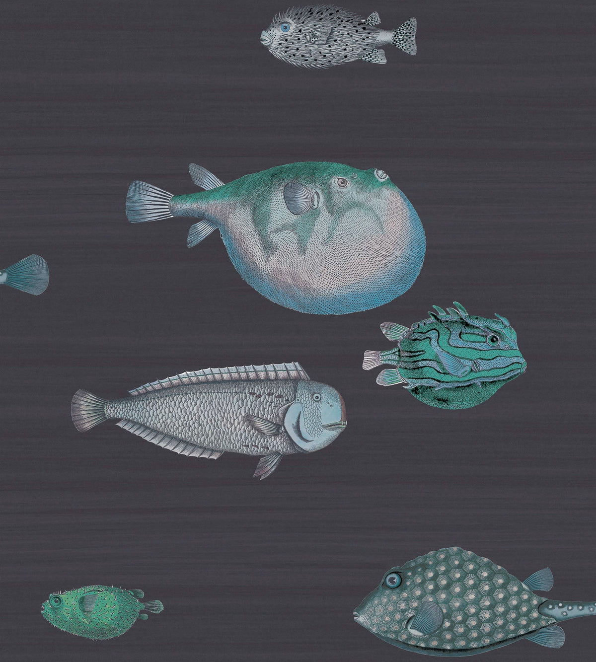 Cole & Son Acquario Tapete in Ink