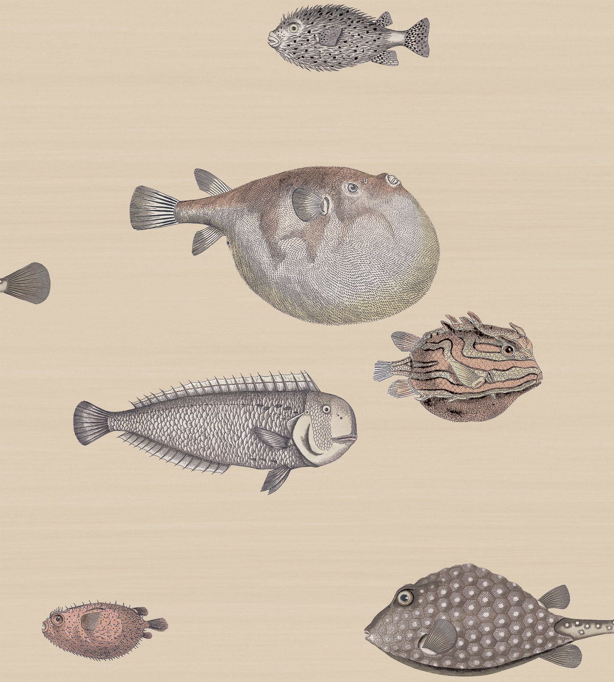 Cole & Son Acquario Tapete in Taupe