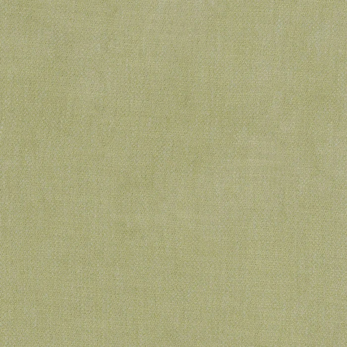 Camengo Kauri – Olive – 36181652