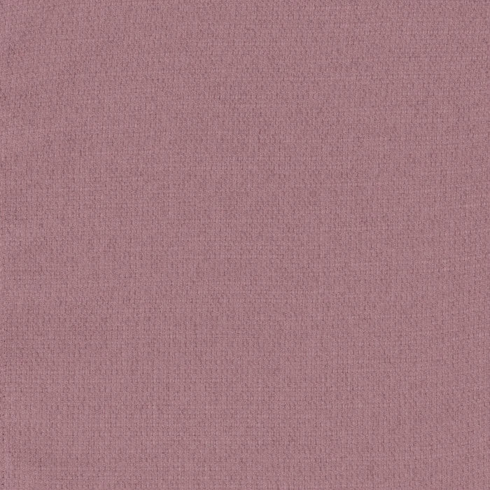 Camengo Jive – Vigne – 39232433