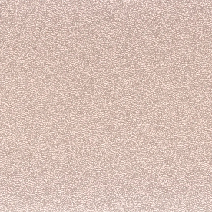 Camengo Tarana – Nude – 40600424