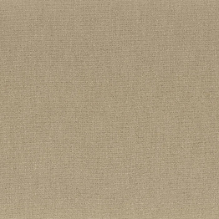 Camengo Anémone – Kraft – 50111132