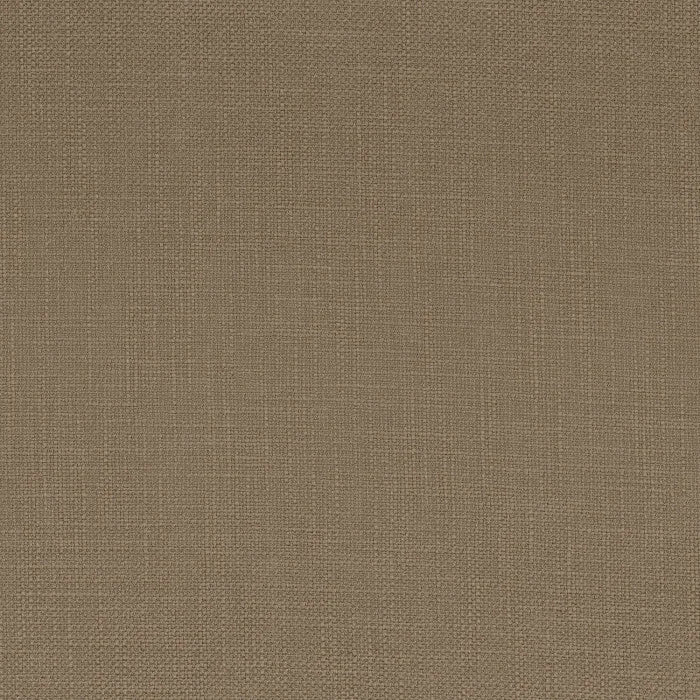 Camengo Teguise – Mousse – 52190693
