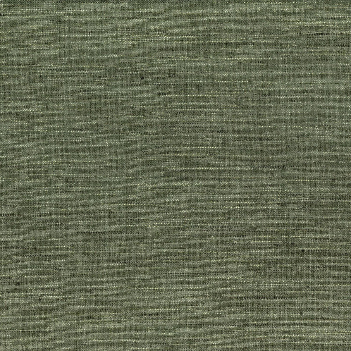 Casamance Polo – Kaki – 10301589