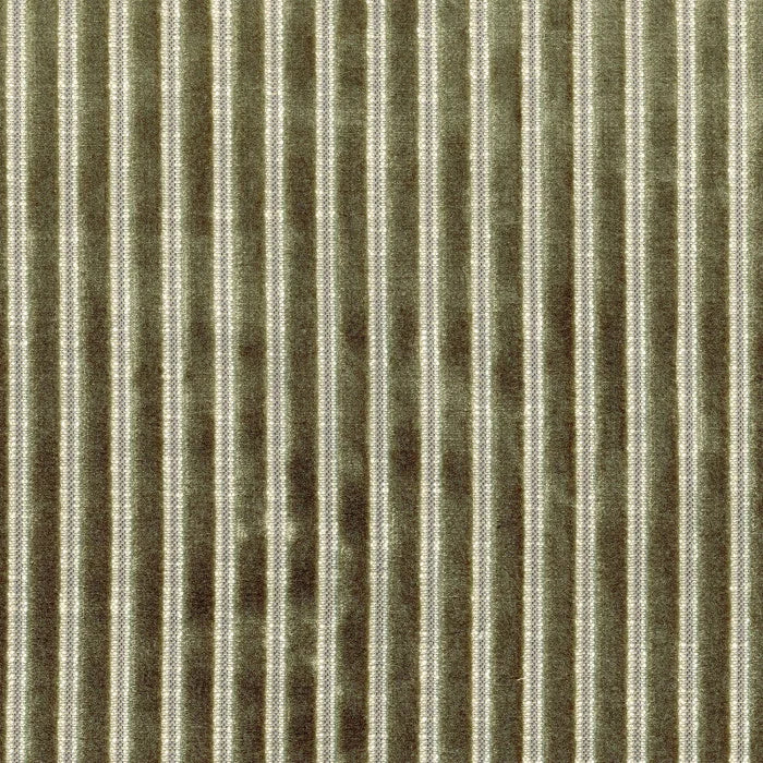 Casamance Zebu – Kaki – 11630788