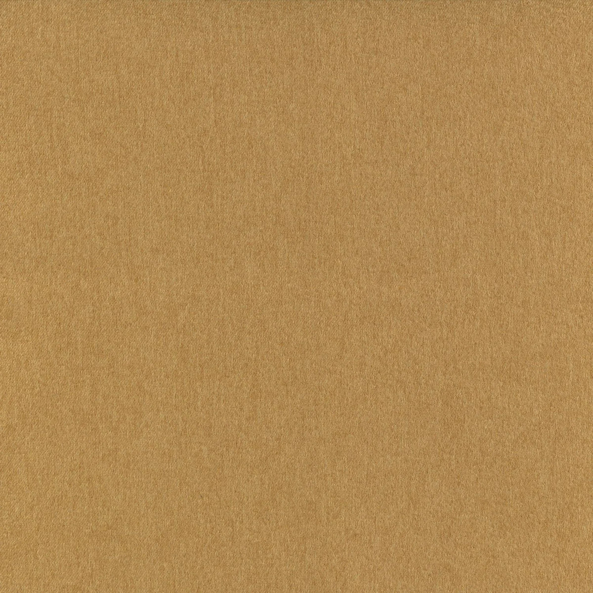 Casamance Barra – Ambre – 12031338