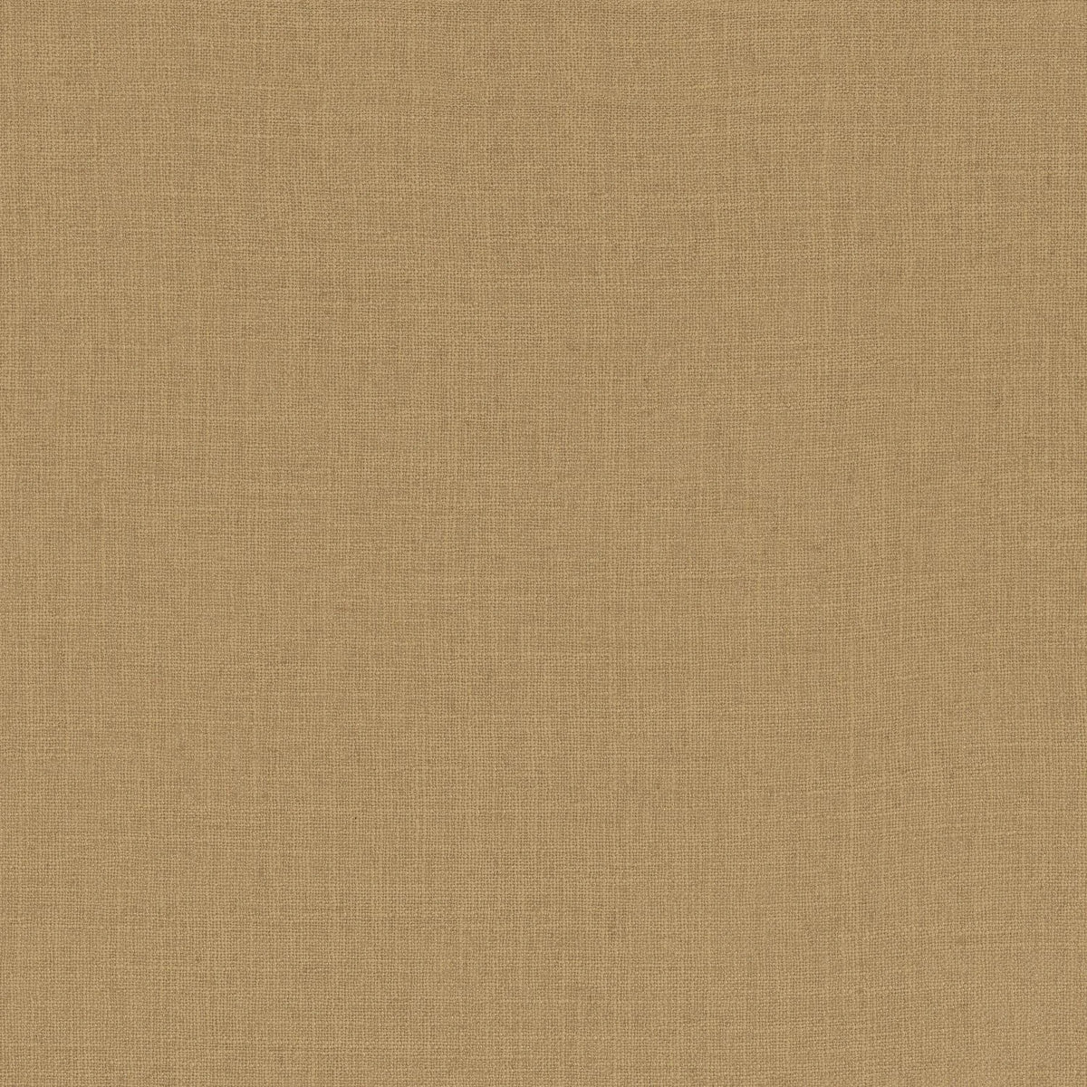 Casamance Favori – Champagne – 42530909