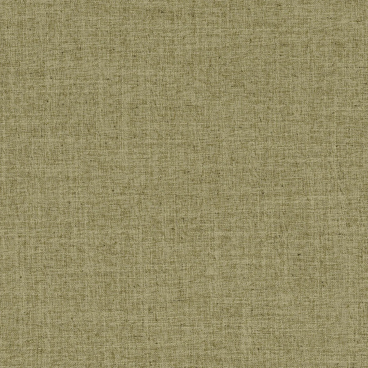Casamance Favori – Vert Olive – 42532424