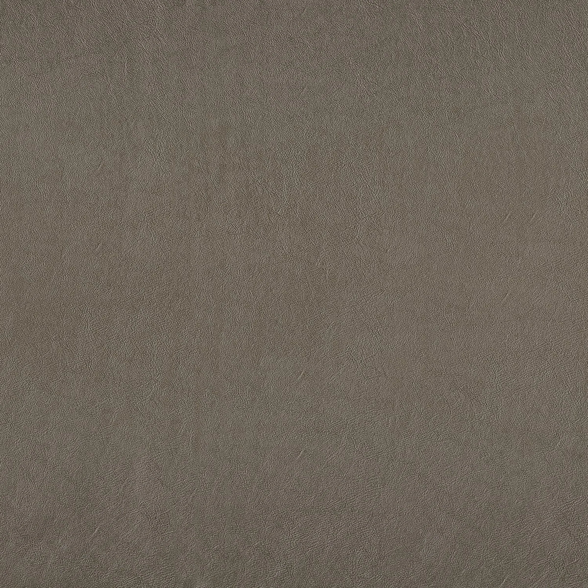 Casamance Thomson – Beige Taupe – 43250303