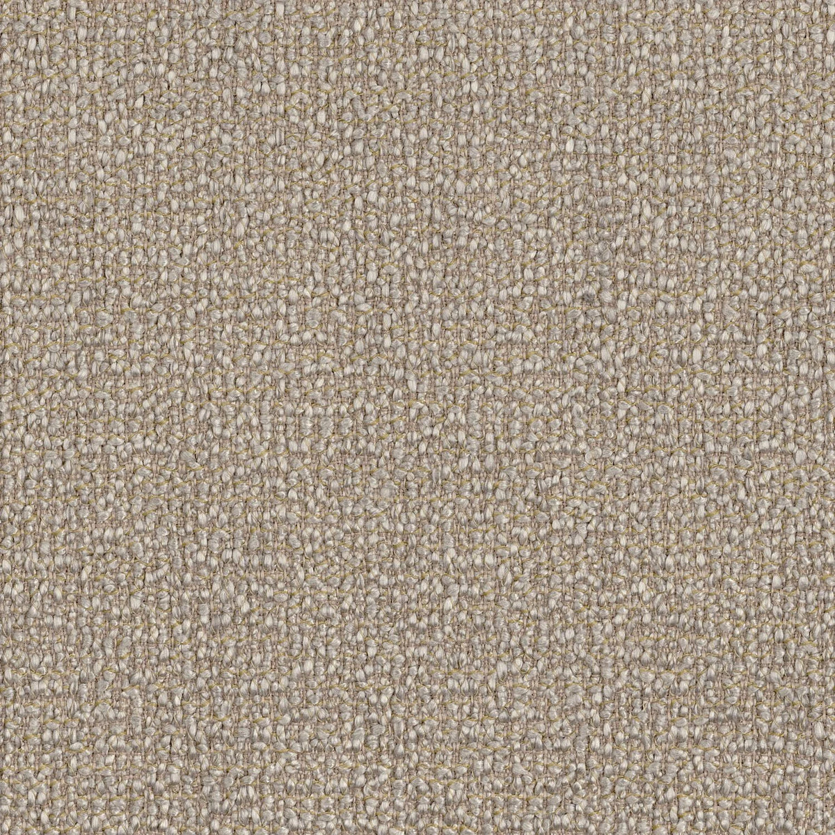 Casamance Alma – Champagne – 43881136