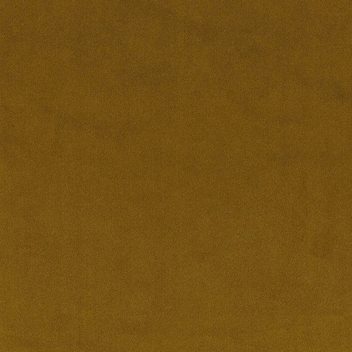 Casamance Minaude – Jaune Or – 44601344