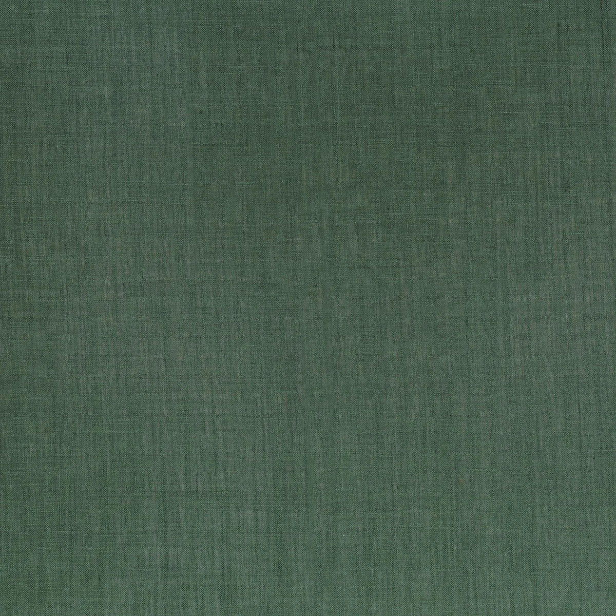 Casamance Lyrique – Eucalyptus – 49912121
