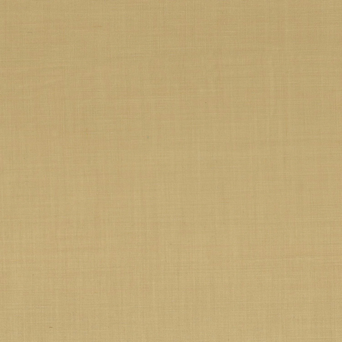Casamance Lyrique – Paille – 49912525