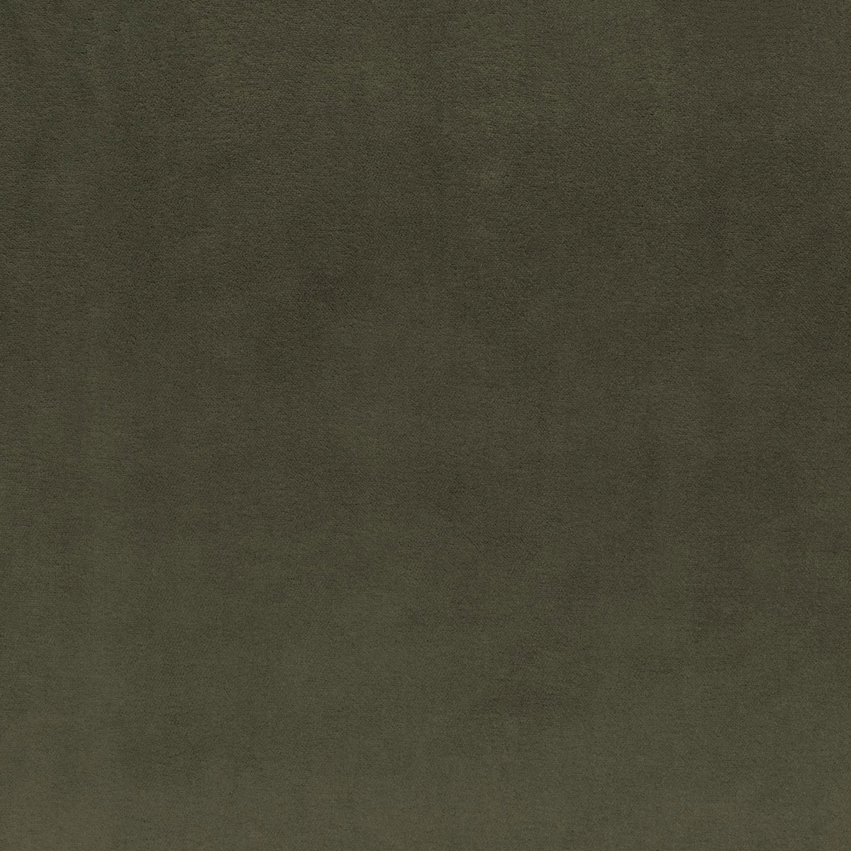 Casamance Rivalet – Kaki – 82480880