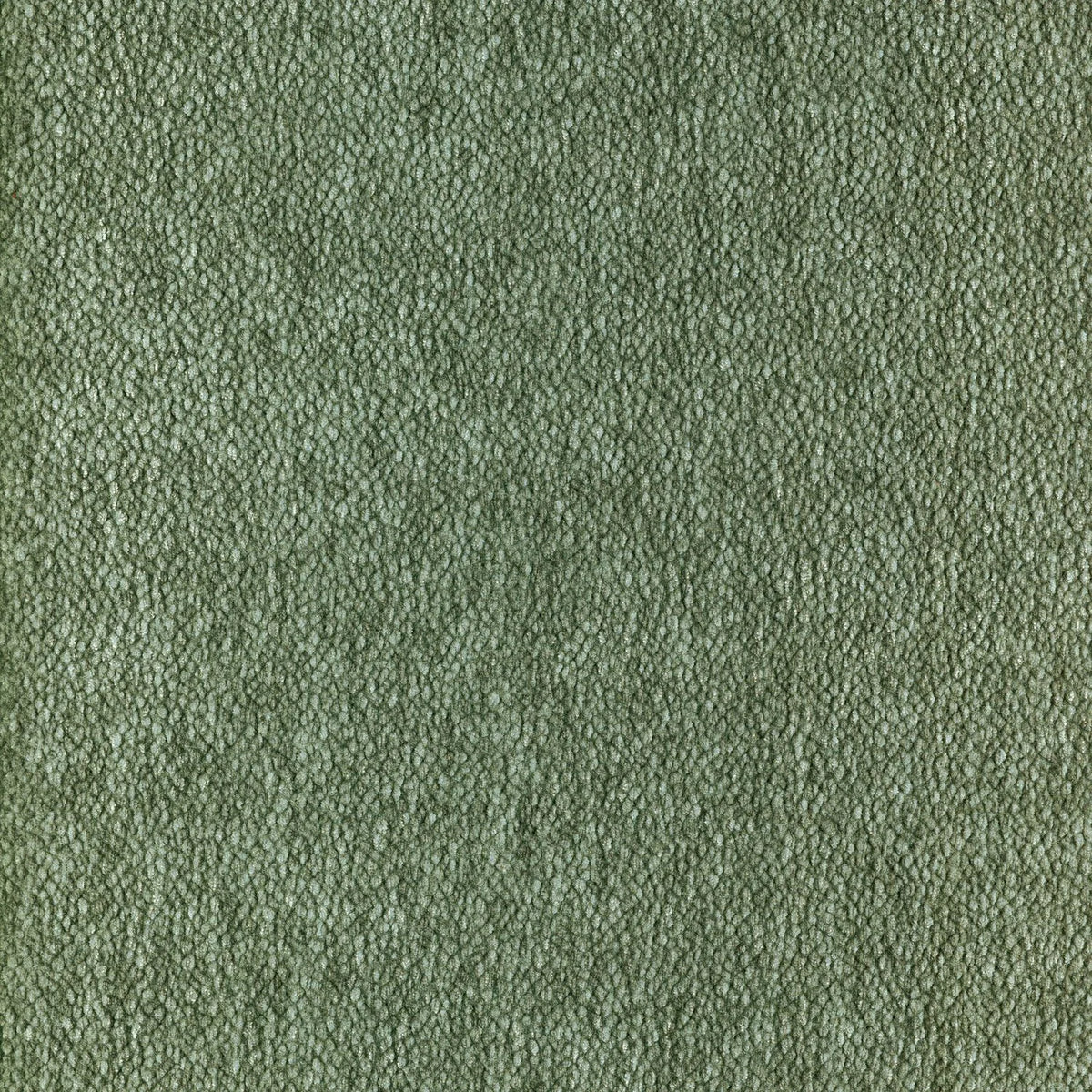 Casamance Chroma – Vert De Gris – 92161425