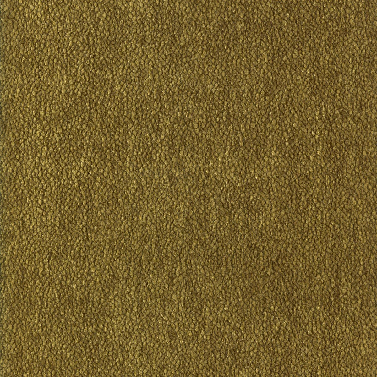 Casamance Chroma – Olive – 92161681