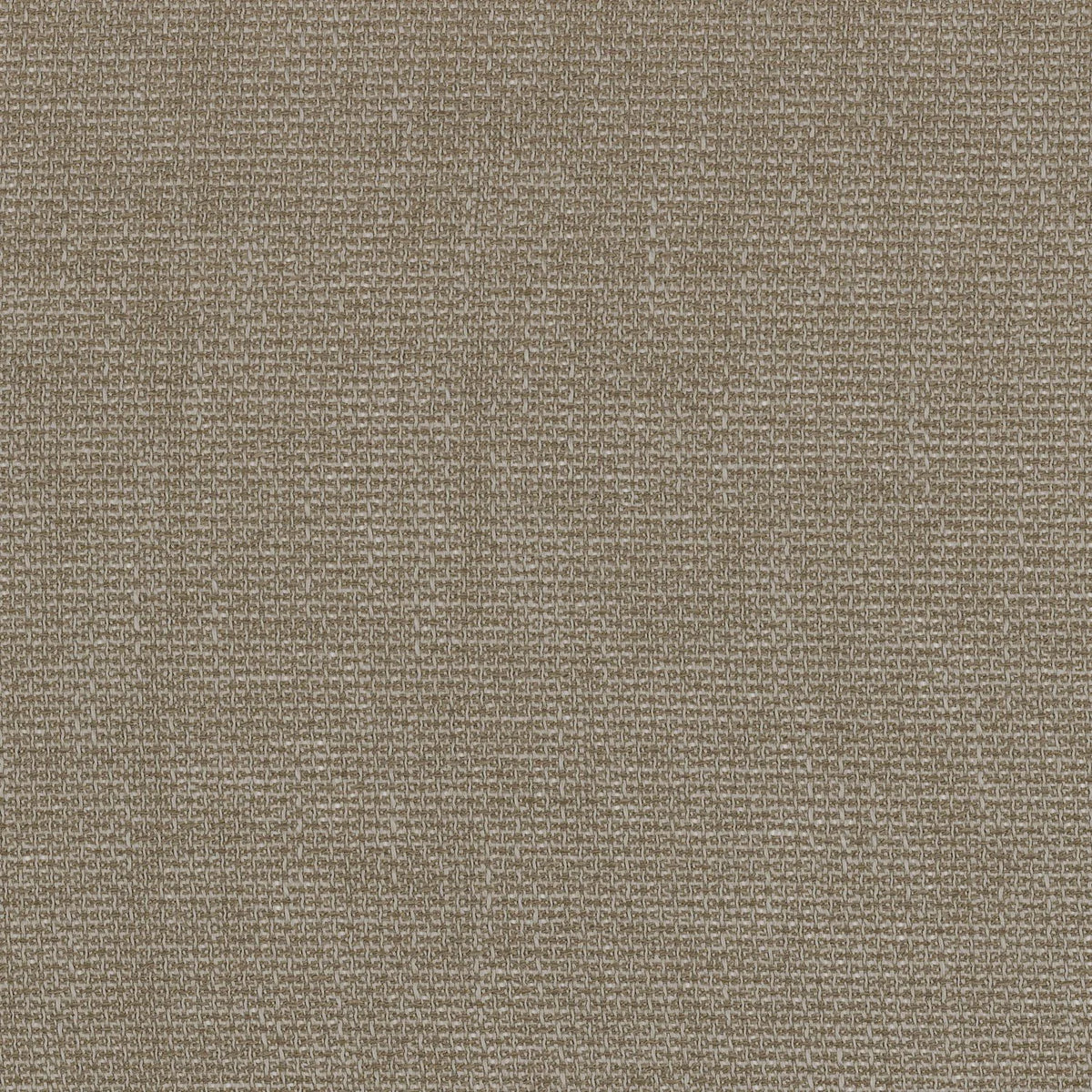 Casamance Conti – Brun Tabac – A41020321