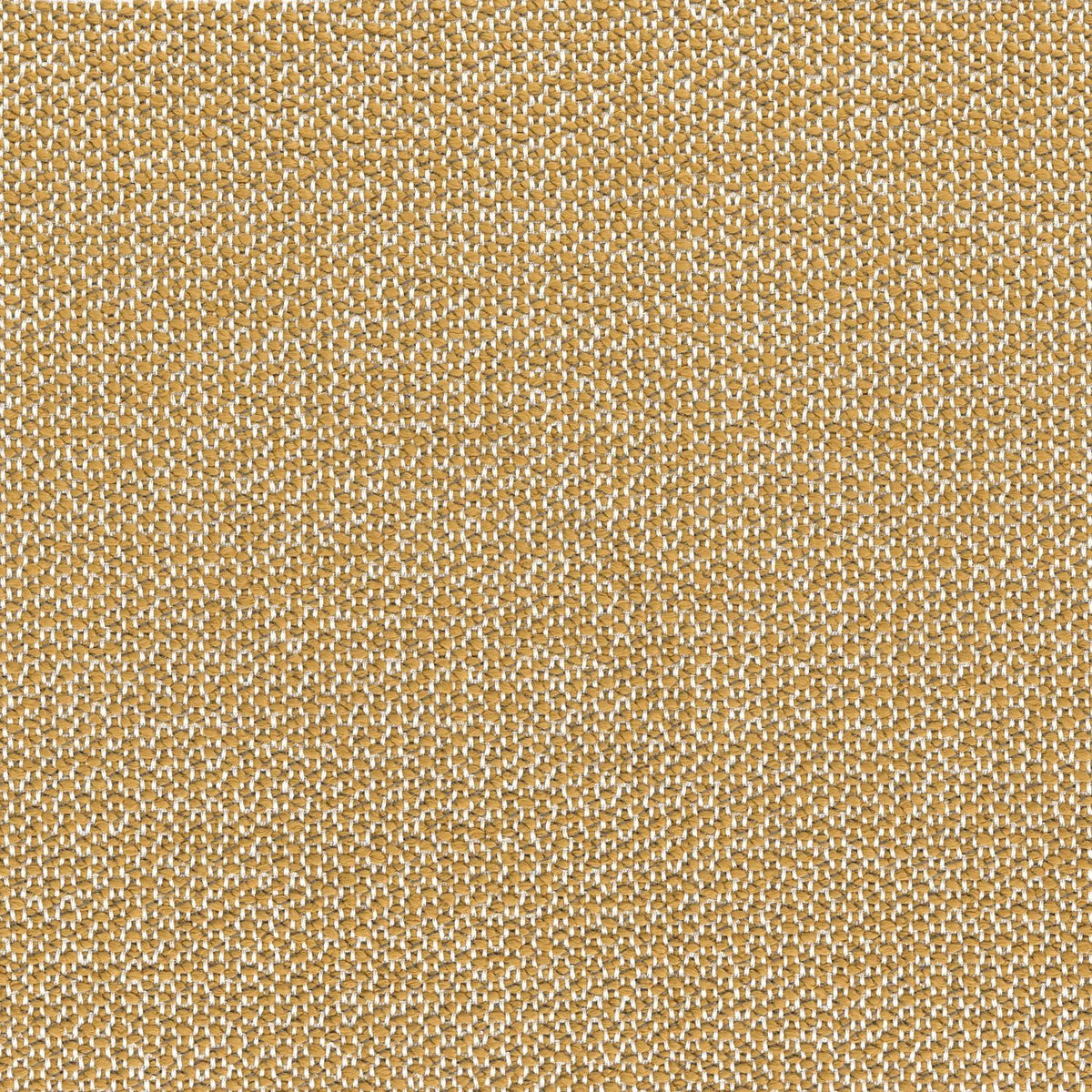 Casamance Zia – Ocre – A47350546