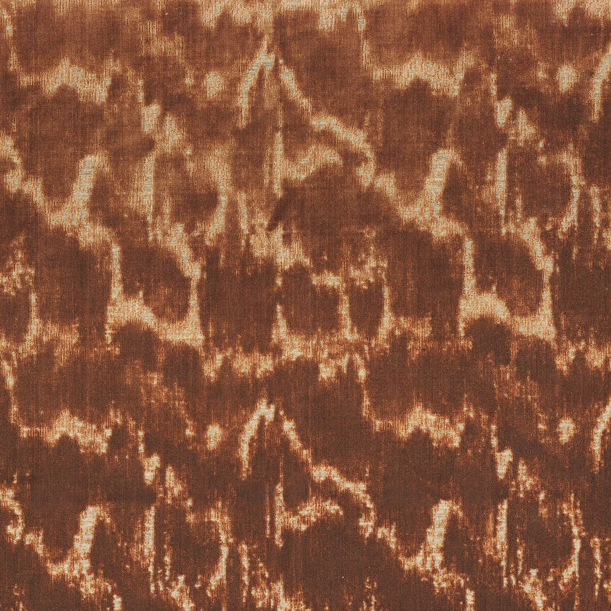 Casamance River – Orange Brulee – A47600251