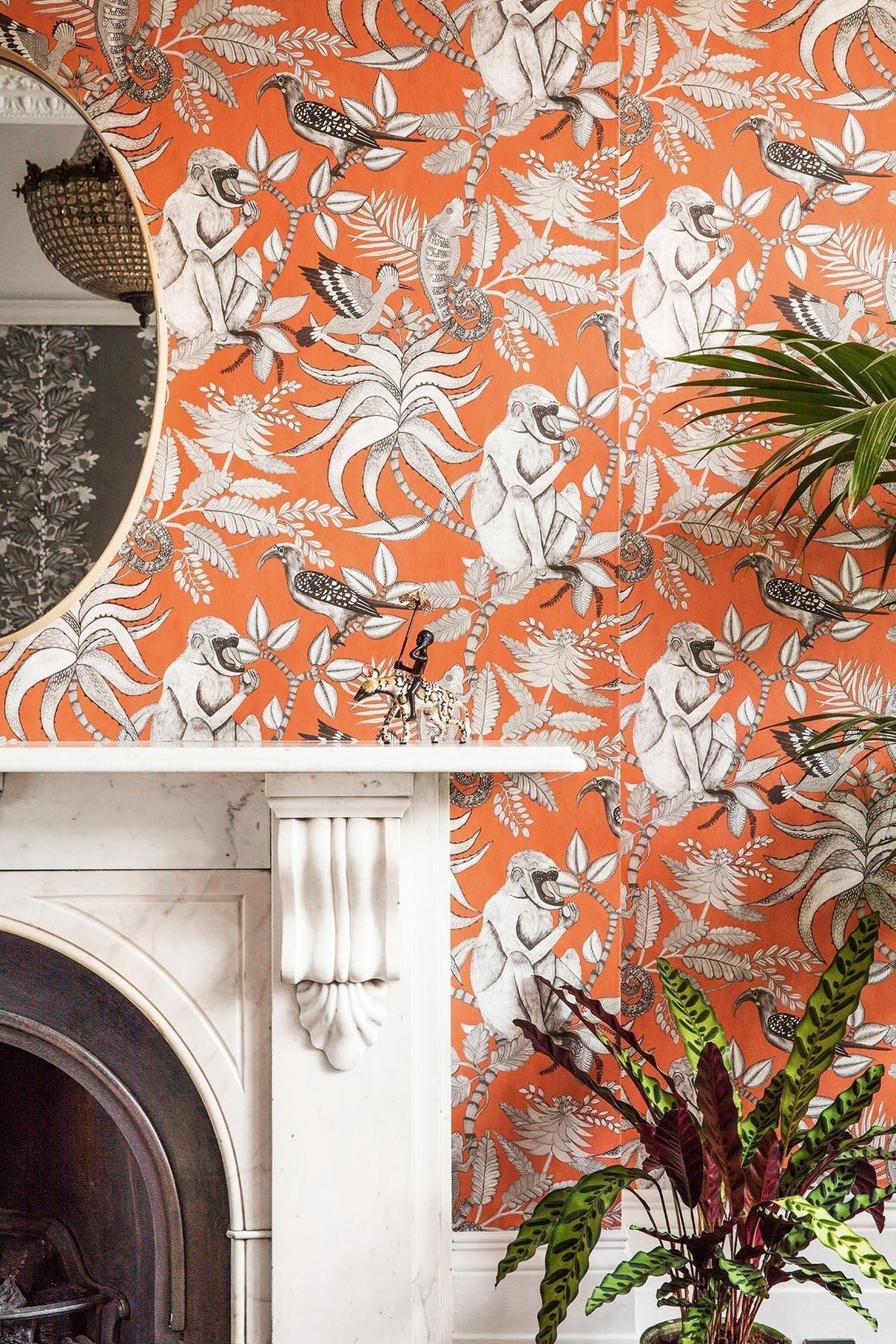 Cole & Son Savuti Soot on Tangerine 109/1001 – Raumansicht