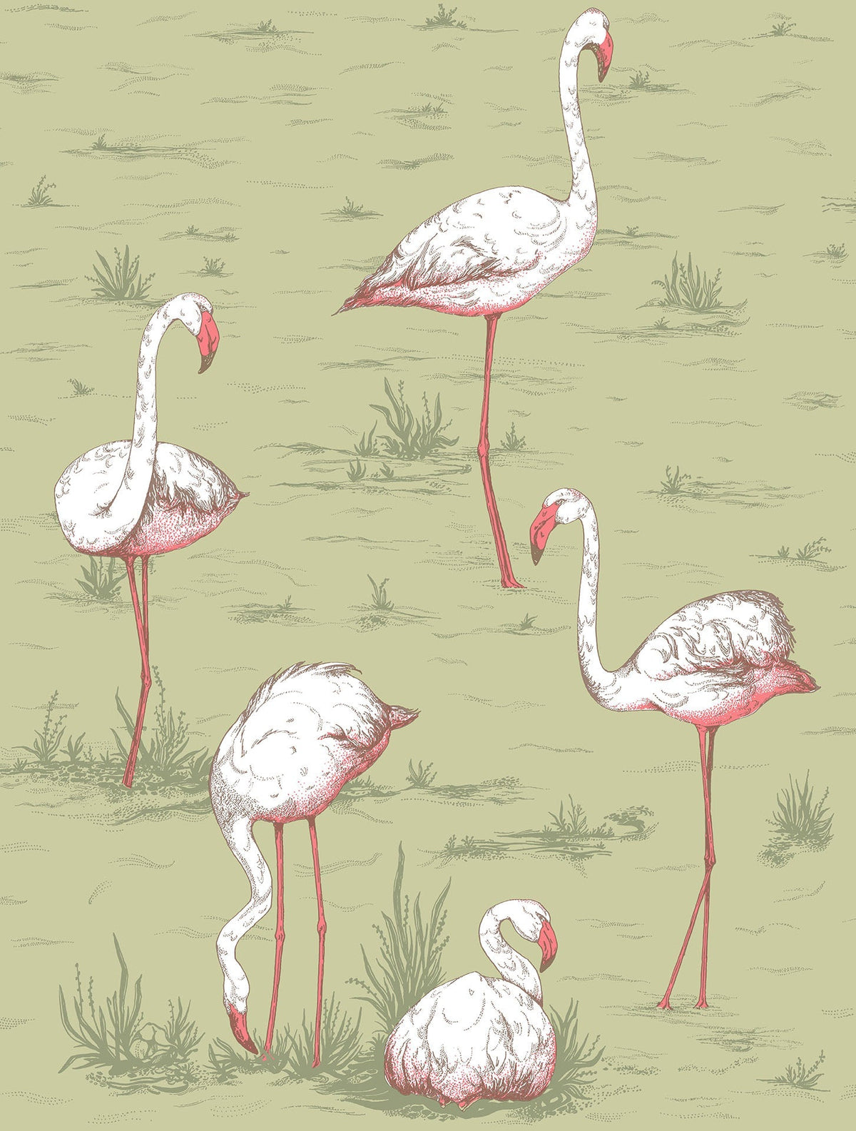 Cole & Son Flamingos Olive 112/11038 – Muster