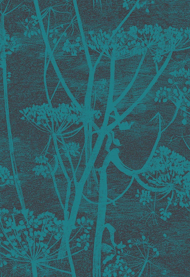 Cole & Son Cow Parsley Petrol & Ink 112/8030 – Muster
