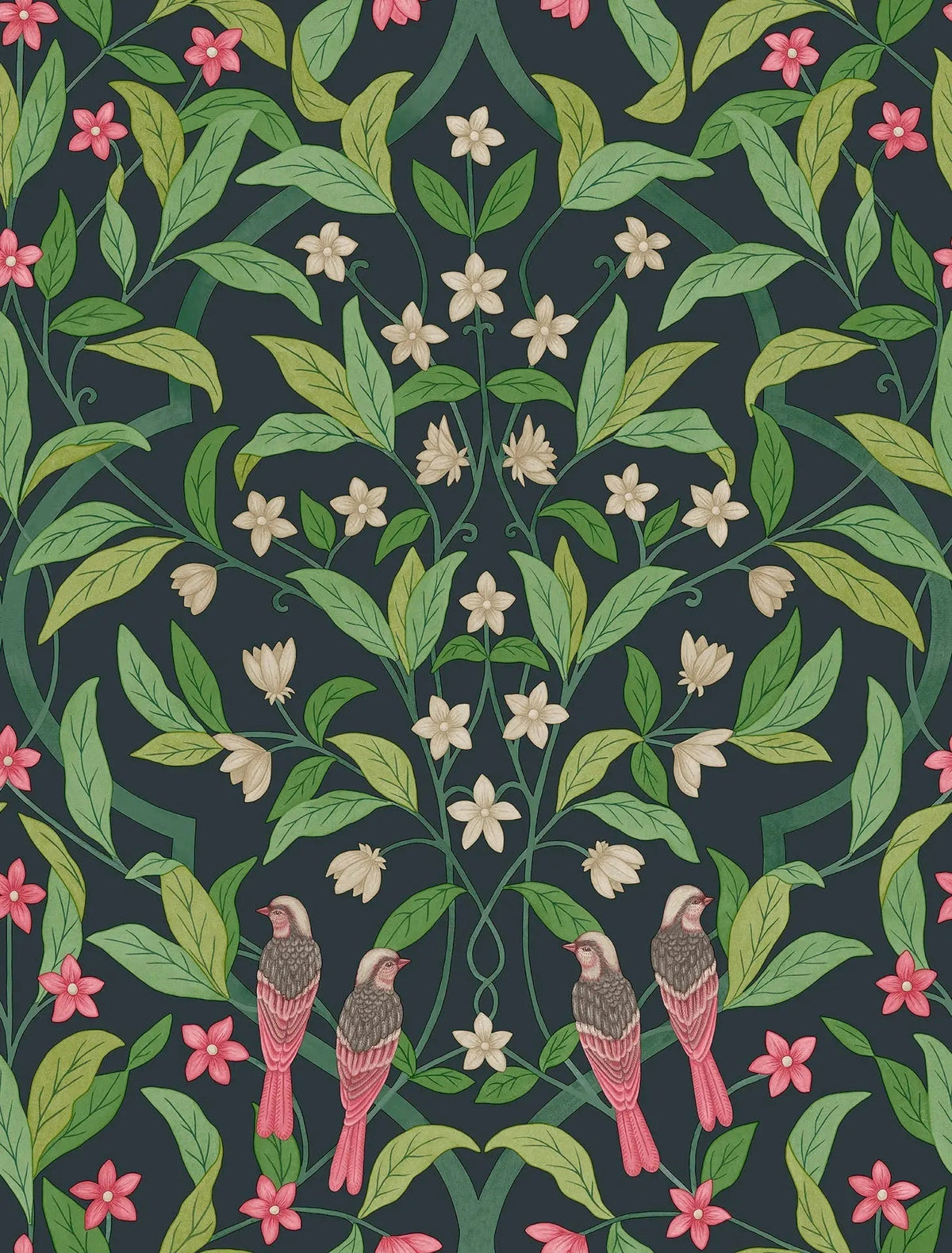 Cole & Son Jasmine & Serin Symphony Rose & Racing Green on Dark Viridian 117/10028 – Muster