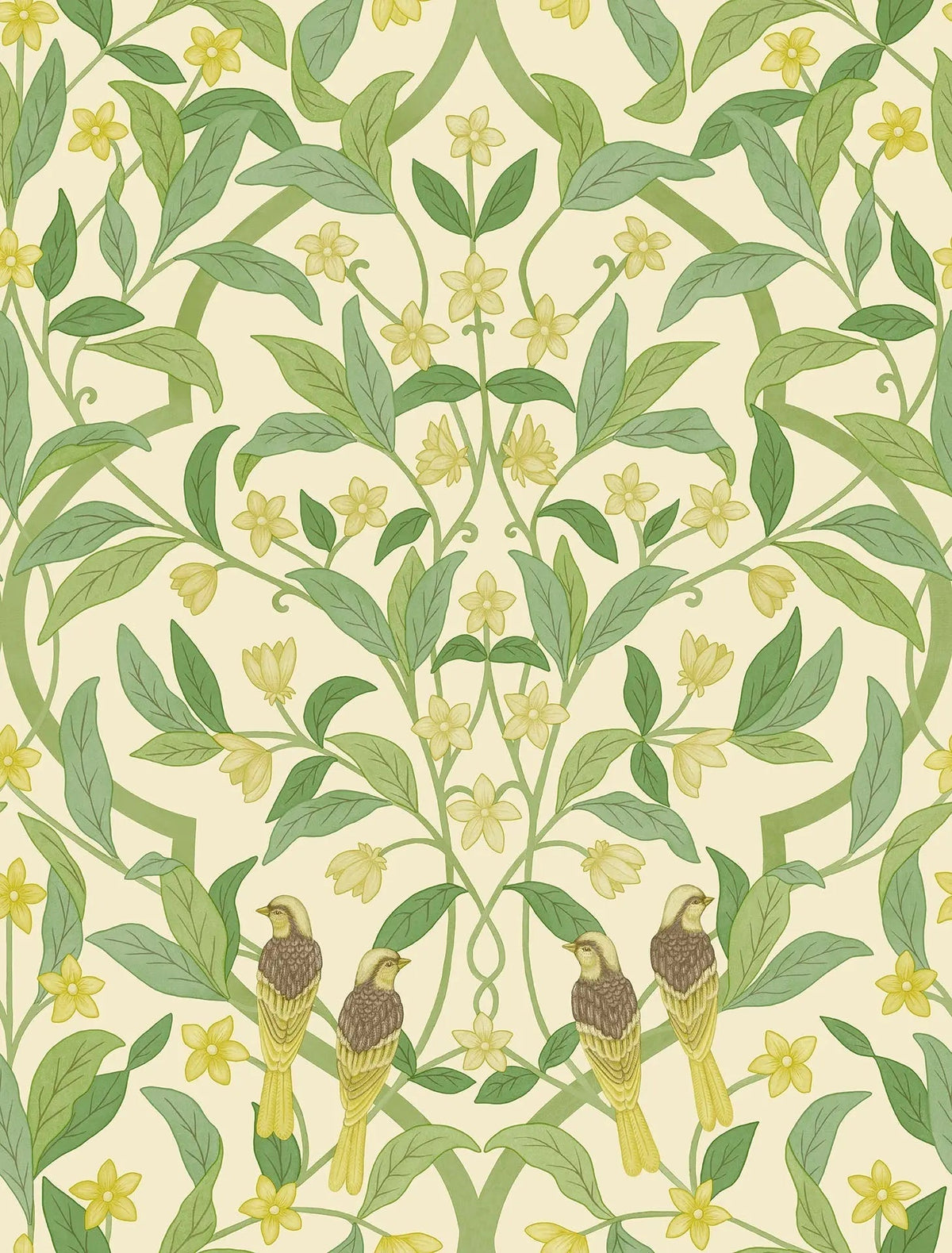 Cole & Son Jasmine & Serin Symphony Chartreuse & Olive Green on White 117/10031 – Muster