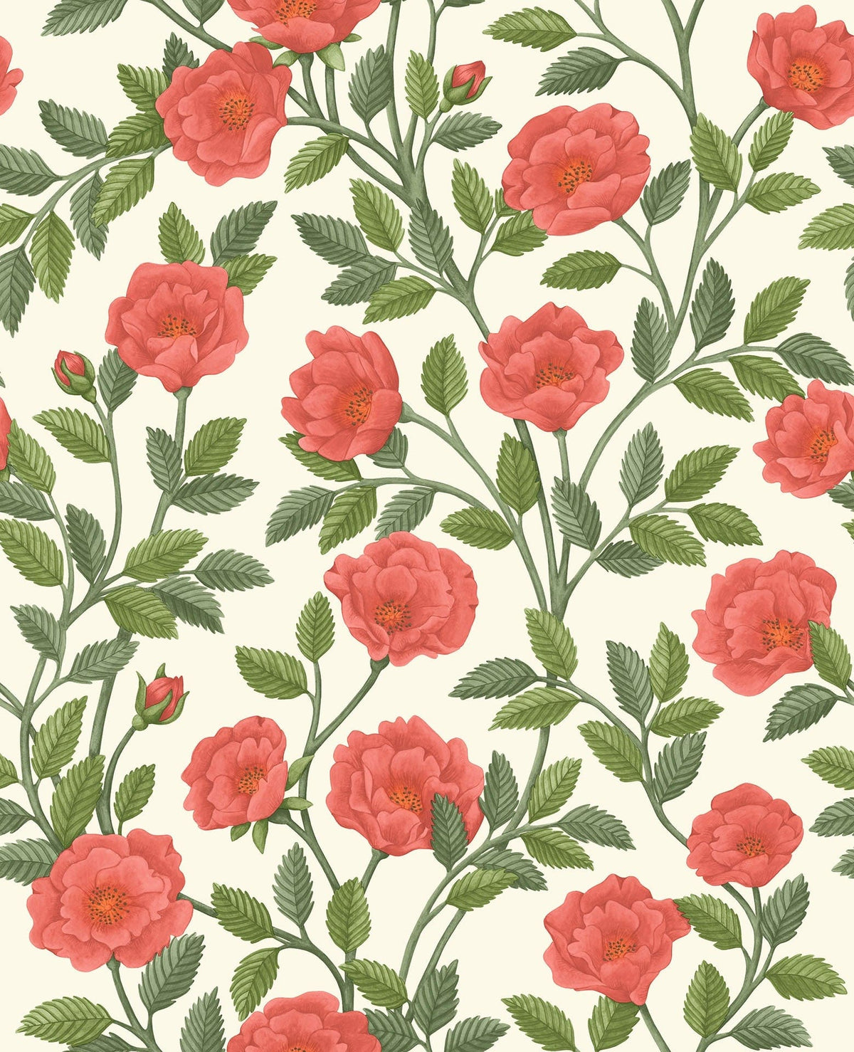 Cole & Son Hampton Roses Rouge & Spring Green on Parchment 118/7013 – Muster