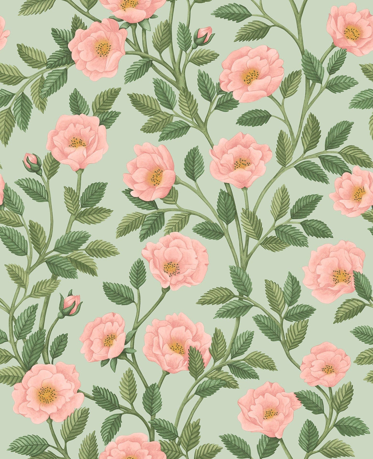 Cole & Son Hampton Roses Rose & Leaf Green on Duck Egg 118/7014 – Muster