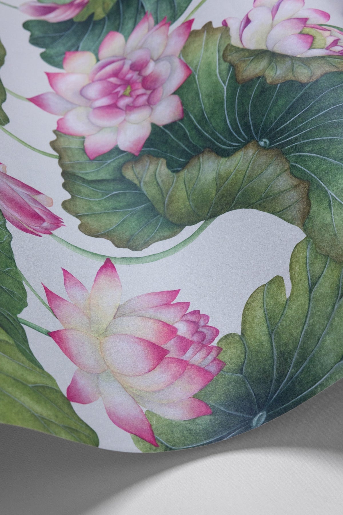 Cole & Son Lily Lotus Pink & White 126/9031 – Detailansicht