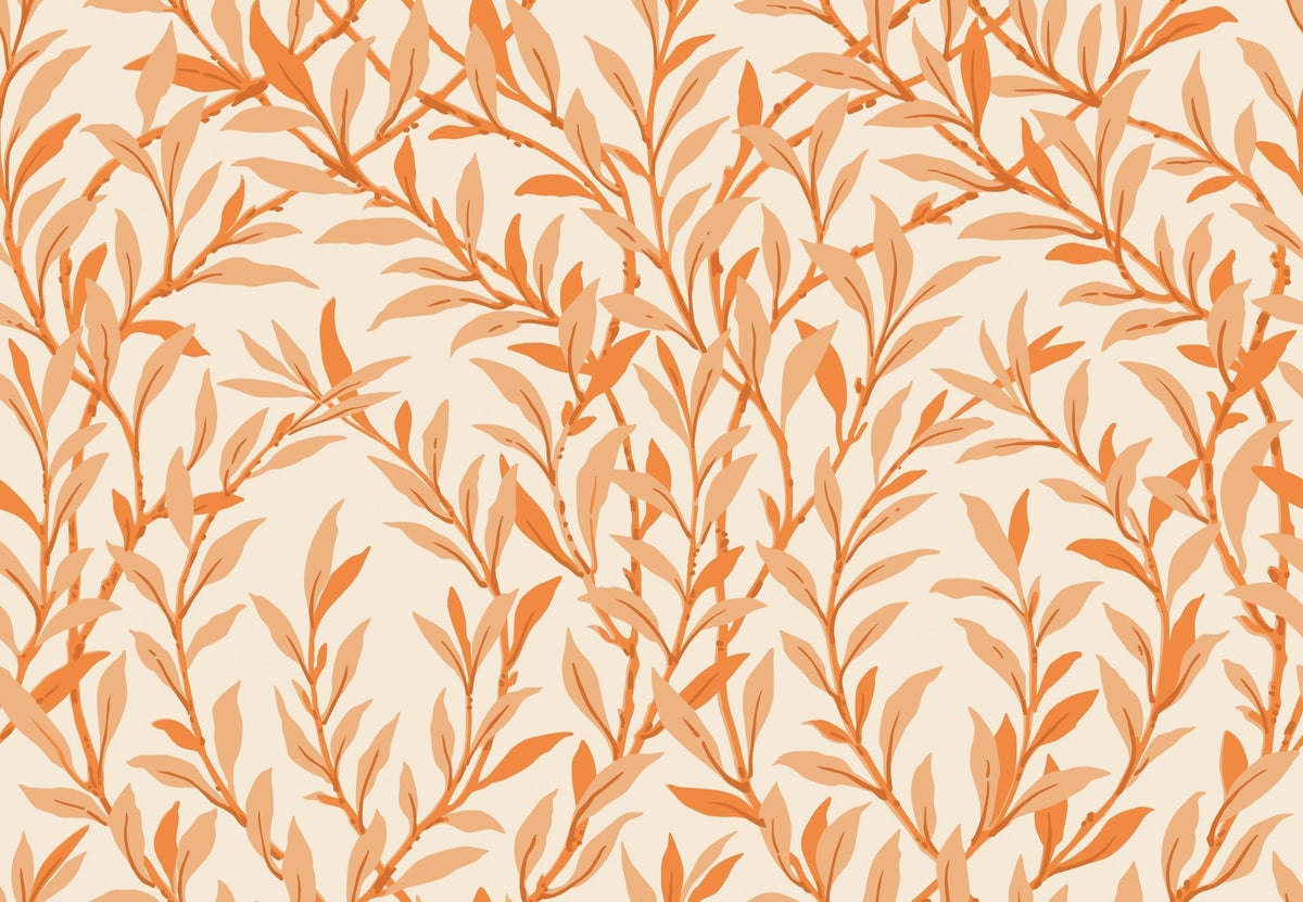 Cole & Son Willow Branch Tangerine on Cream 127/7034 – Muster
