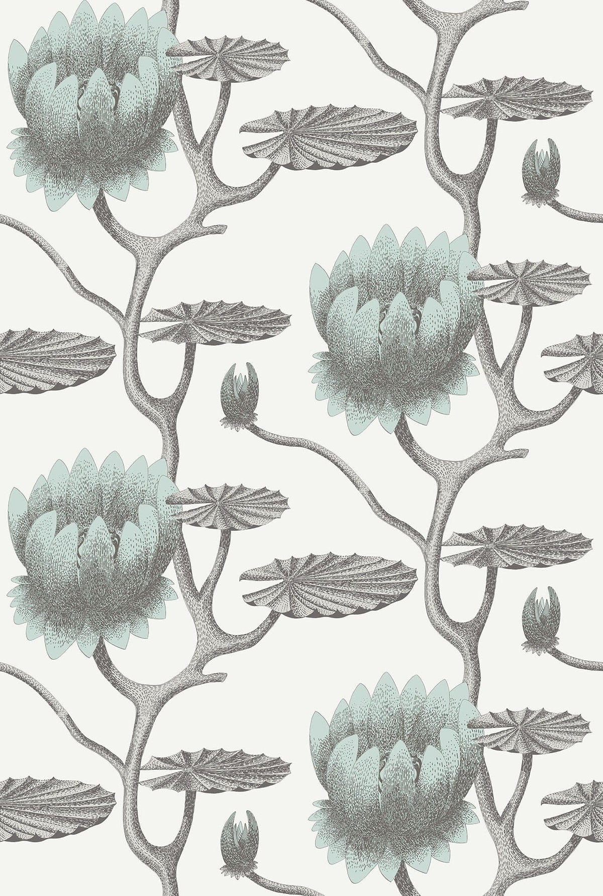 Cole & Son Summer Lily Print Room Blue on Chalk 95/4022 – Muster