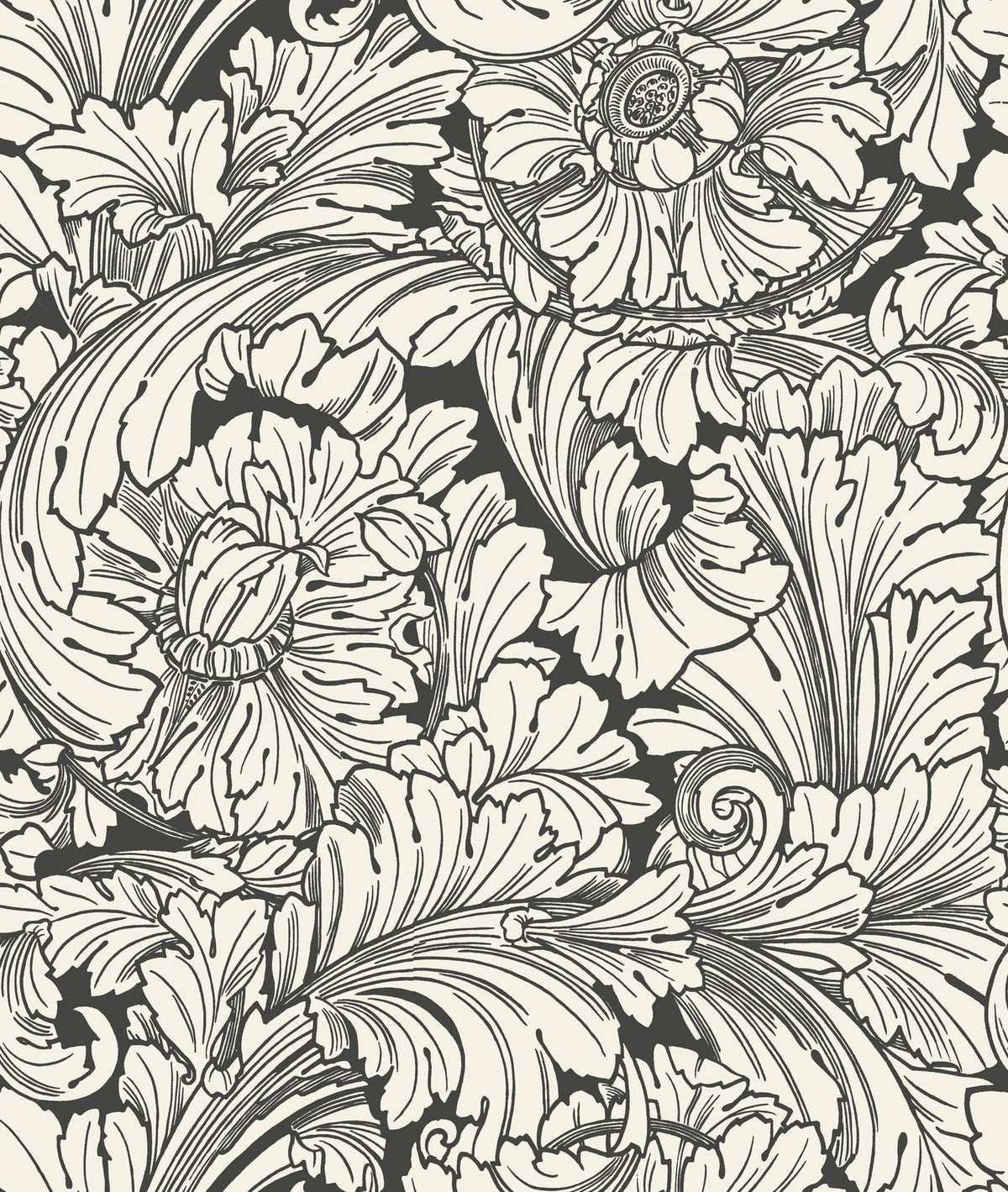Cole & Son Acanthus, Soot & Snow (127/6032)