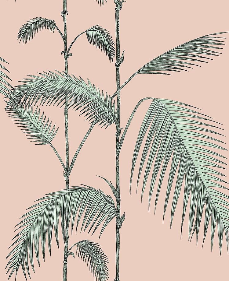 Cole & Son Palm Leaves – Alabaster Pink & Mint – 112/2005