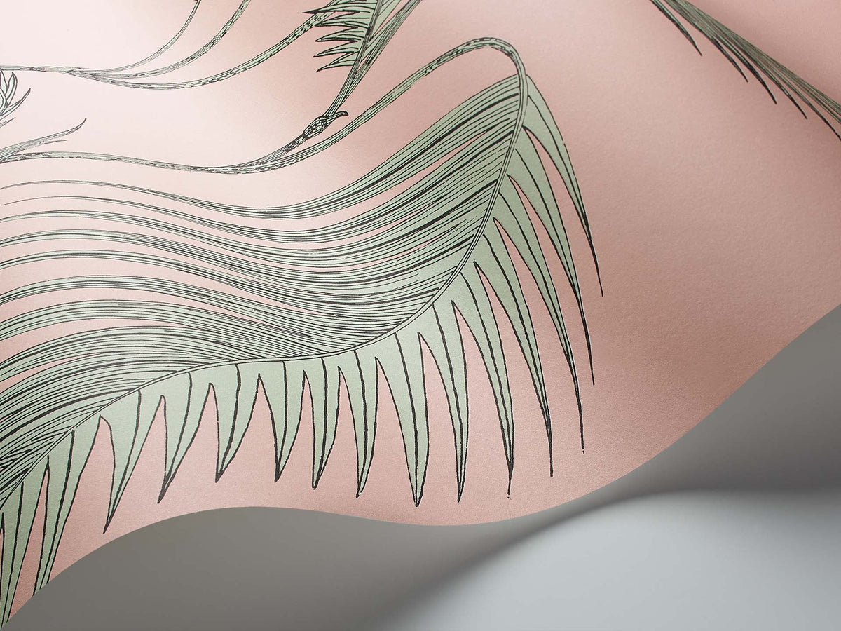 Cole & Son Palm Leaves – Alabaster Pink & Mint – 112/2005