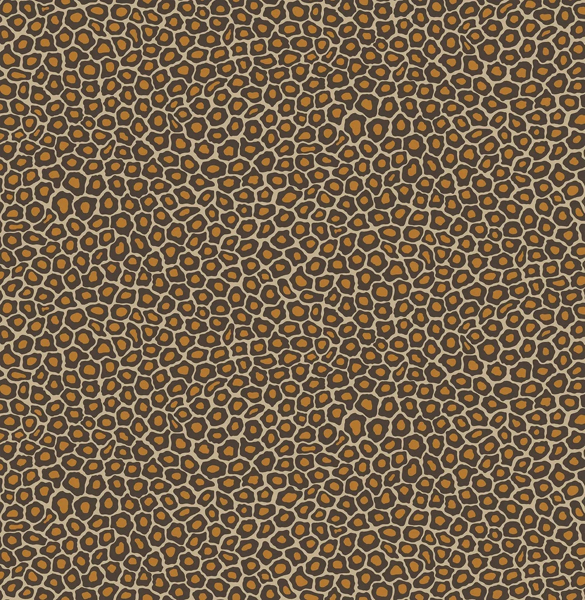 Cole & Son Senzo Spot – Soot & Metallic Gold on Cream (109/6027)