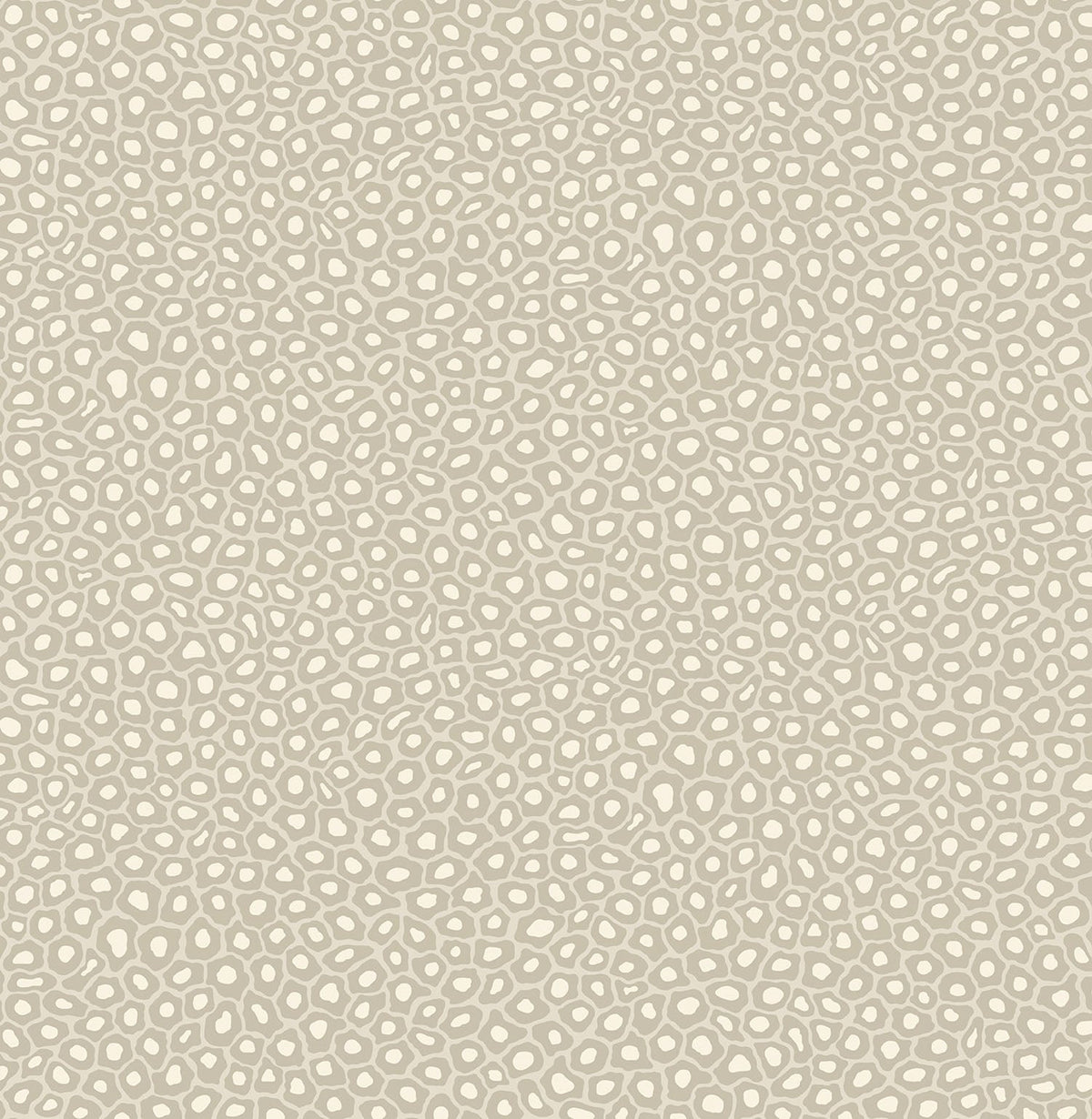 Cole & Son Senzo Spot – Stone & Chalk (109/6030)