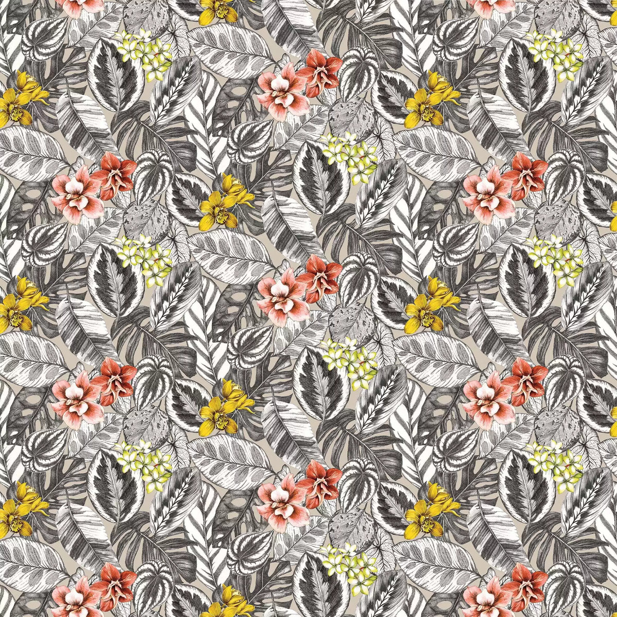 Osborne & Little Zebrina – Stoff – F7447-01