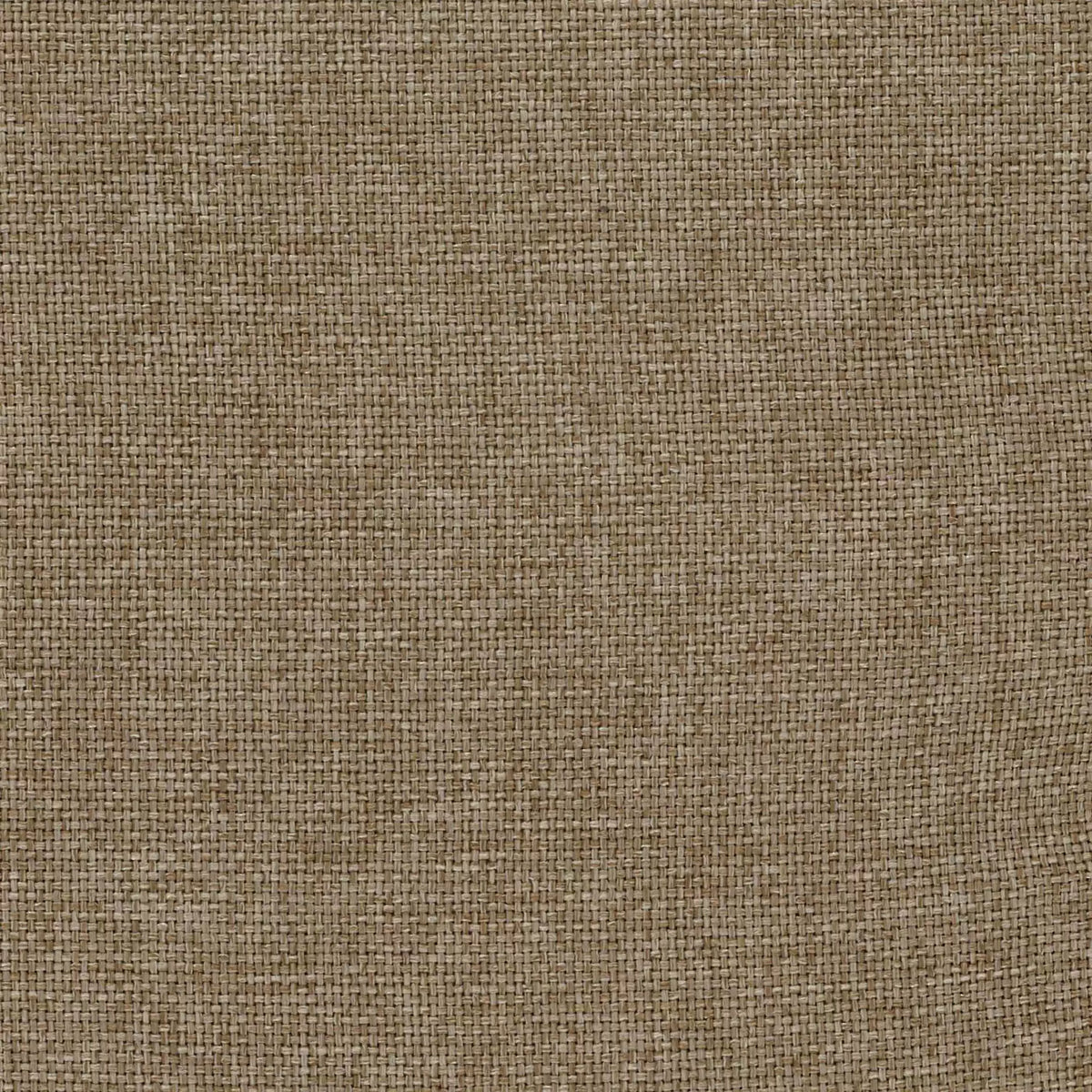 Osborne & Little Nocturne – Stoff – F7480-11