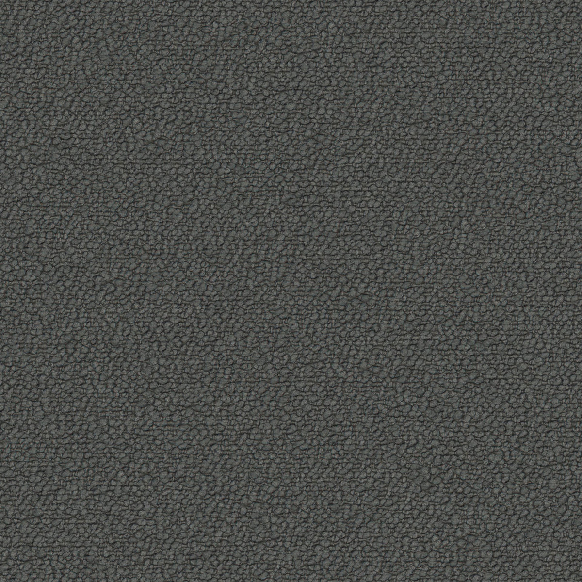 Osborne & Little Dinton – Stoff – F7841-13 – Coal