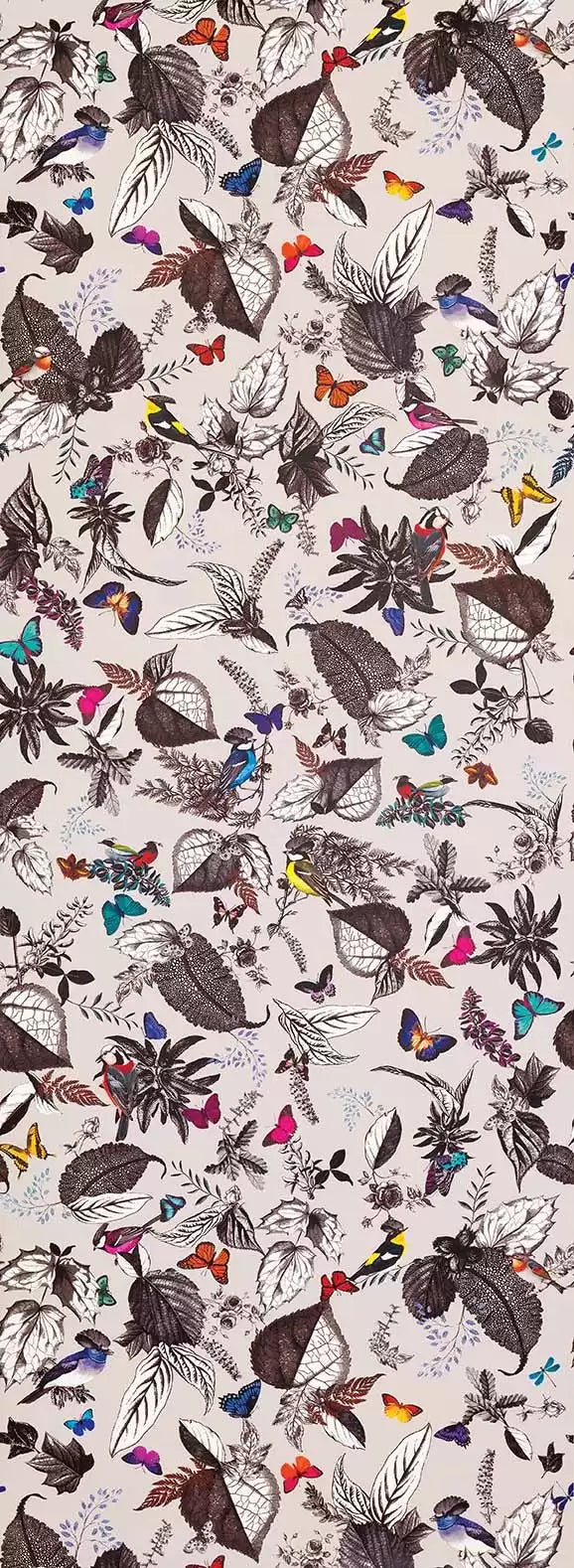OSBORNE & LITTLE Bird Song W6596-01