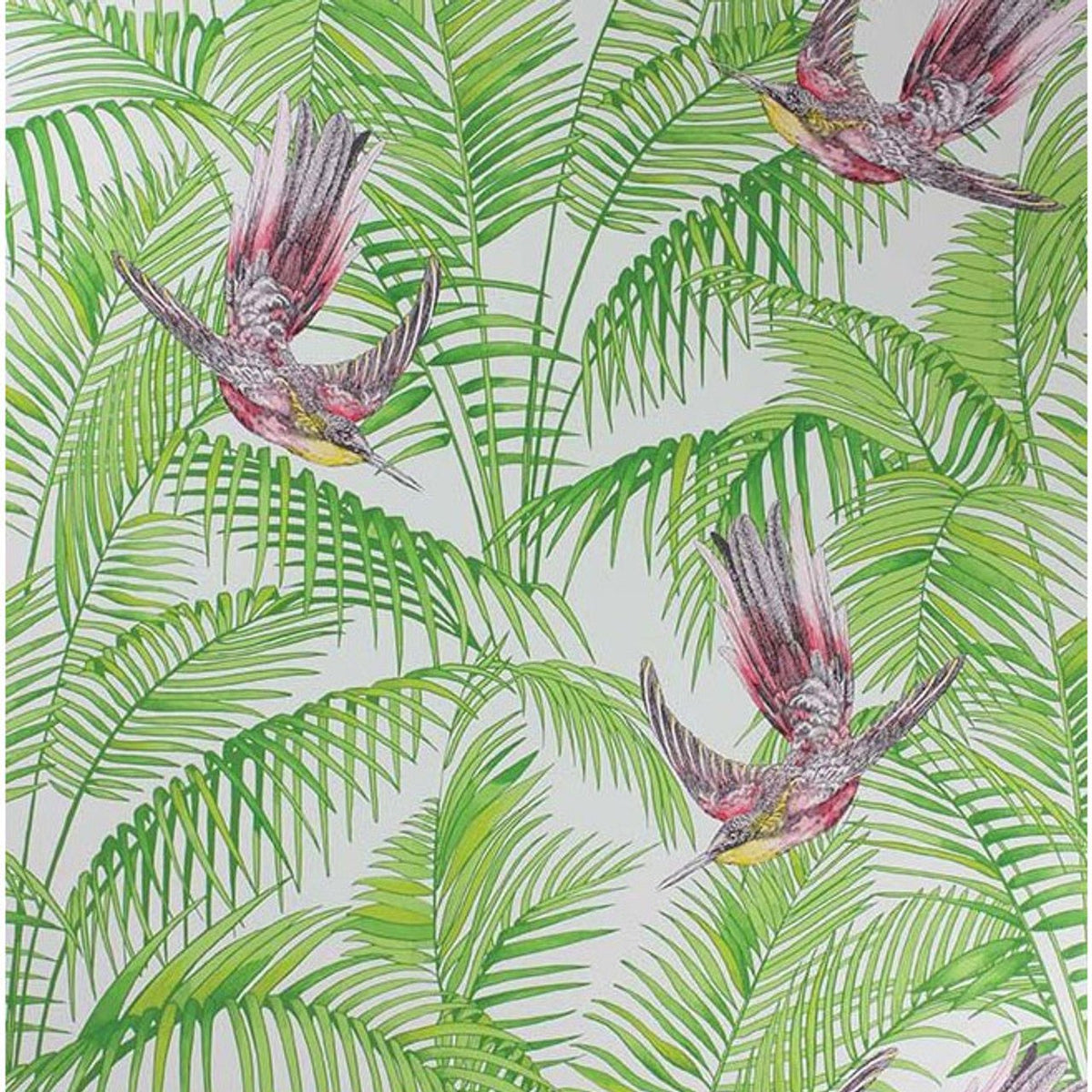 Matthew Williamson Sunbird Tapete – Farbvariante W6543-02