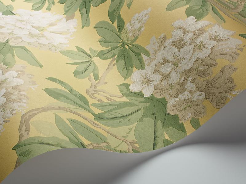 Cole and Son - Tapete Bourlie Wallpaper-Tapeten-Cole & Son-WhiteXgsX Leaf Green on White S99/4021-TOJU Interior