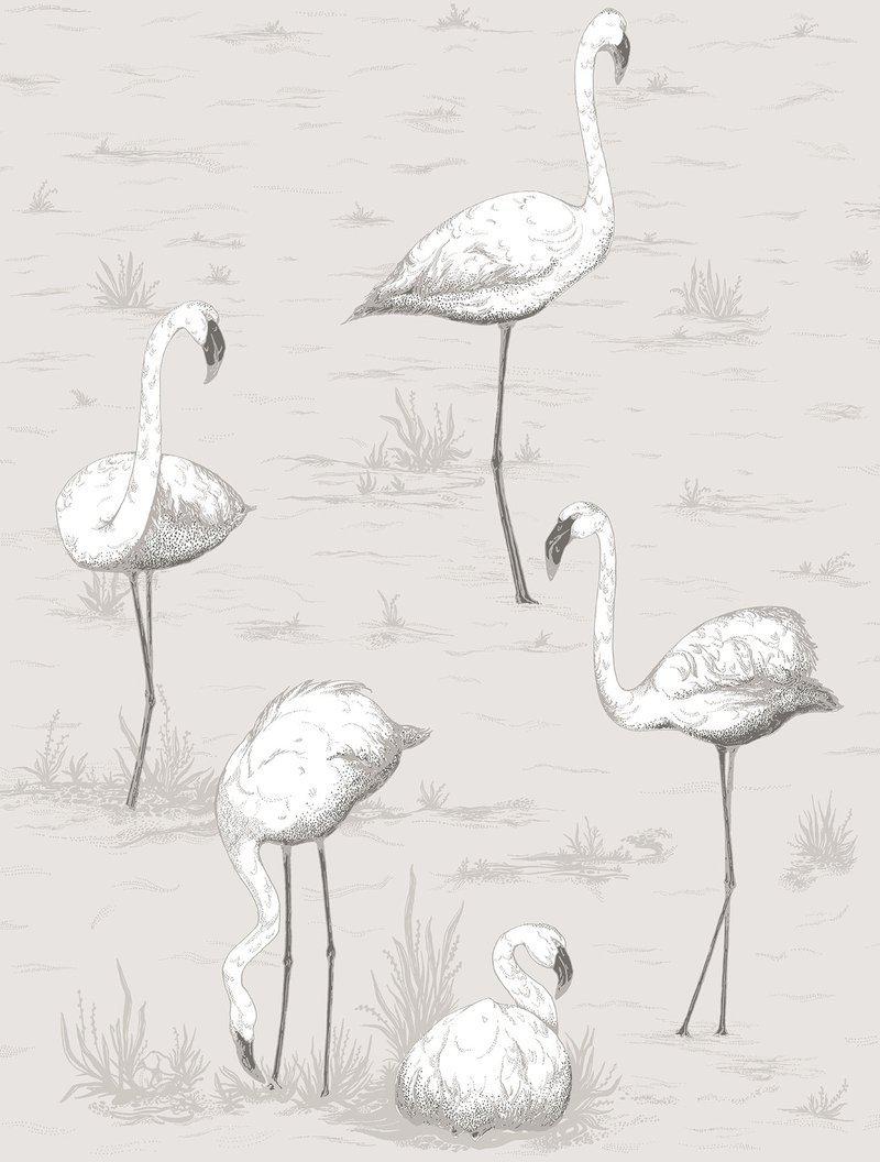 Cole and Son - Tapete Flamingos Wallpaper-Tapete-Cole & Son-Weiß & Charcoal 95/8047-TOJU Interior