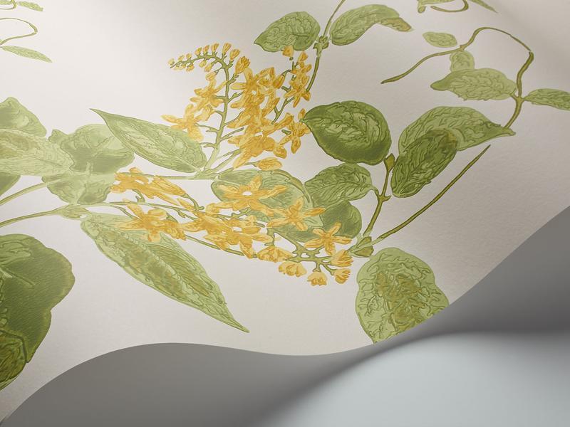 Cole and Son - Tapete Madras Violet Wallpaper-Tapeten-Cole & Son-Yellow & Linen on Parchment S100/12059-TOJU Interior