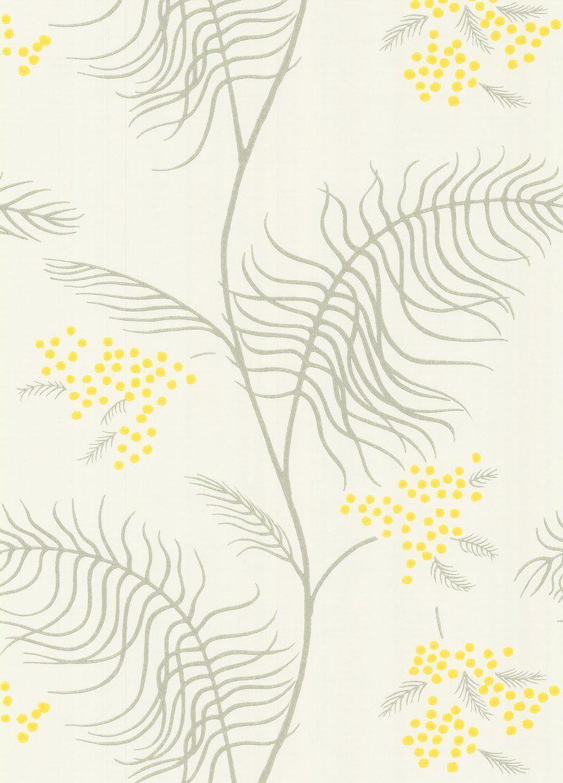 Cole and Son - Tapete Mimosa Wallpaper-Tapeten-Cole & Son-TOJU Interior