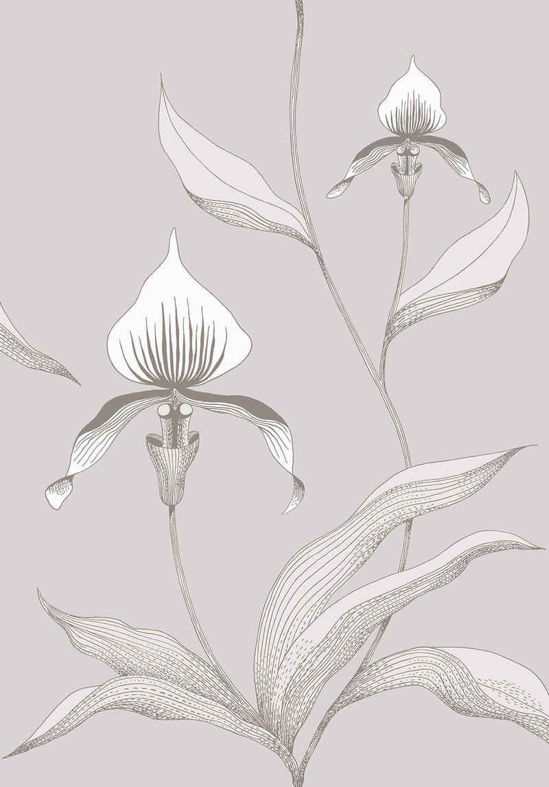 Cole and Son - Tapete Orchid Wallpaper-Tapeten-Cole & Son-TOJU Interior