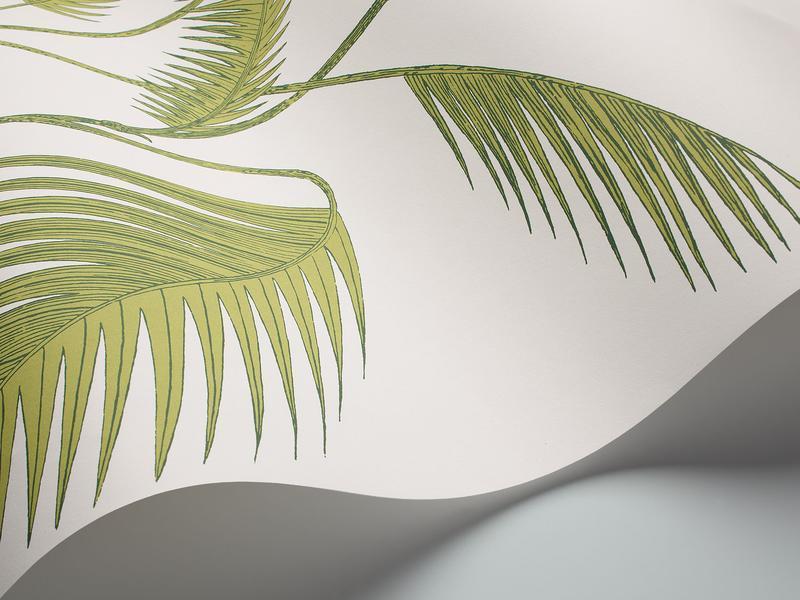 Cole and Son - Tapete Palm Leaves Wallpaper-Tapeten-Cole & Son-Olive green auf Weiß 95/1009-TOJU Interior